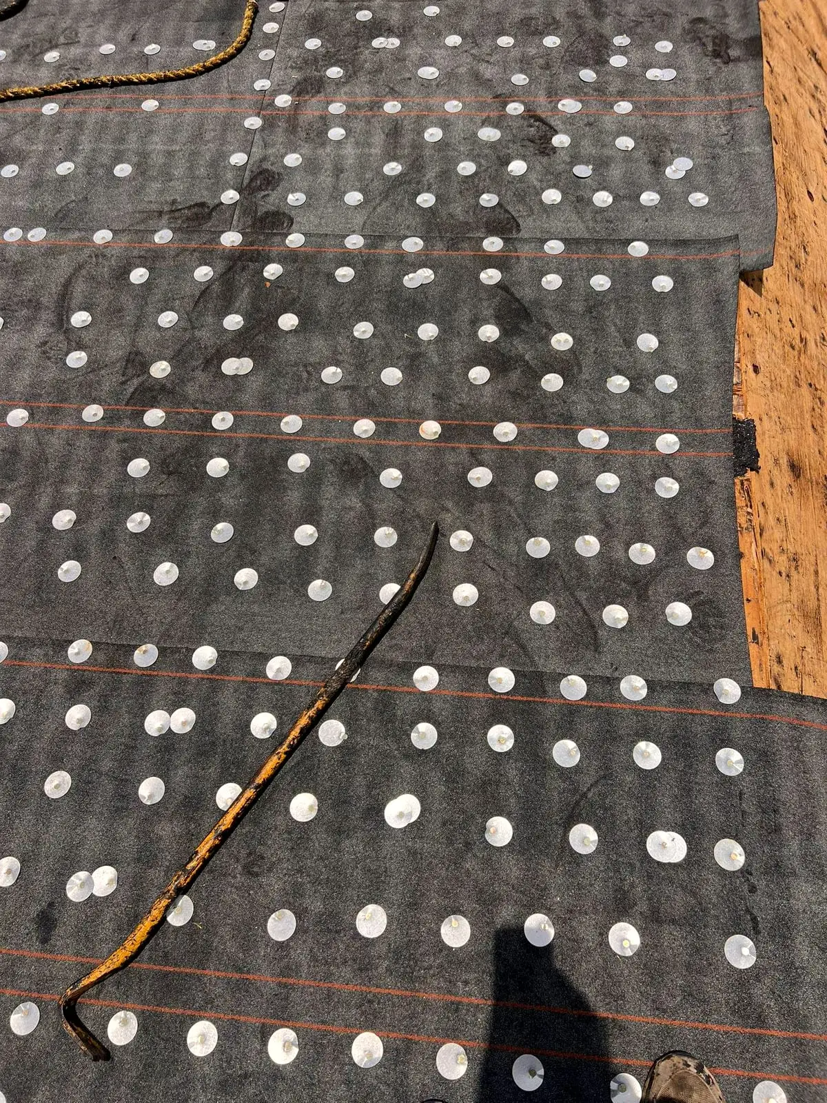 Roof underlayment fastened with rows of cap nails