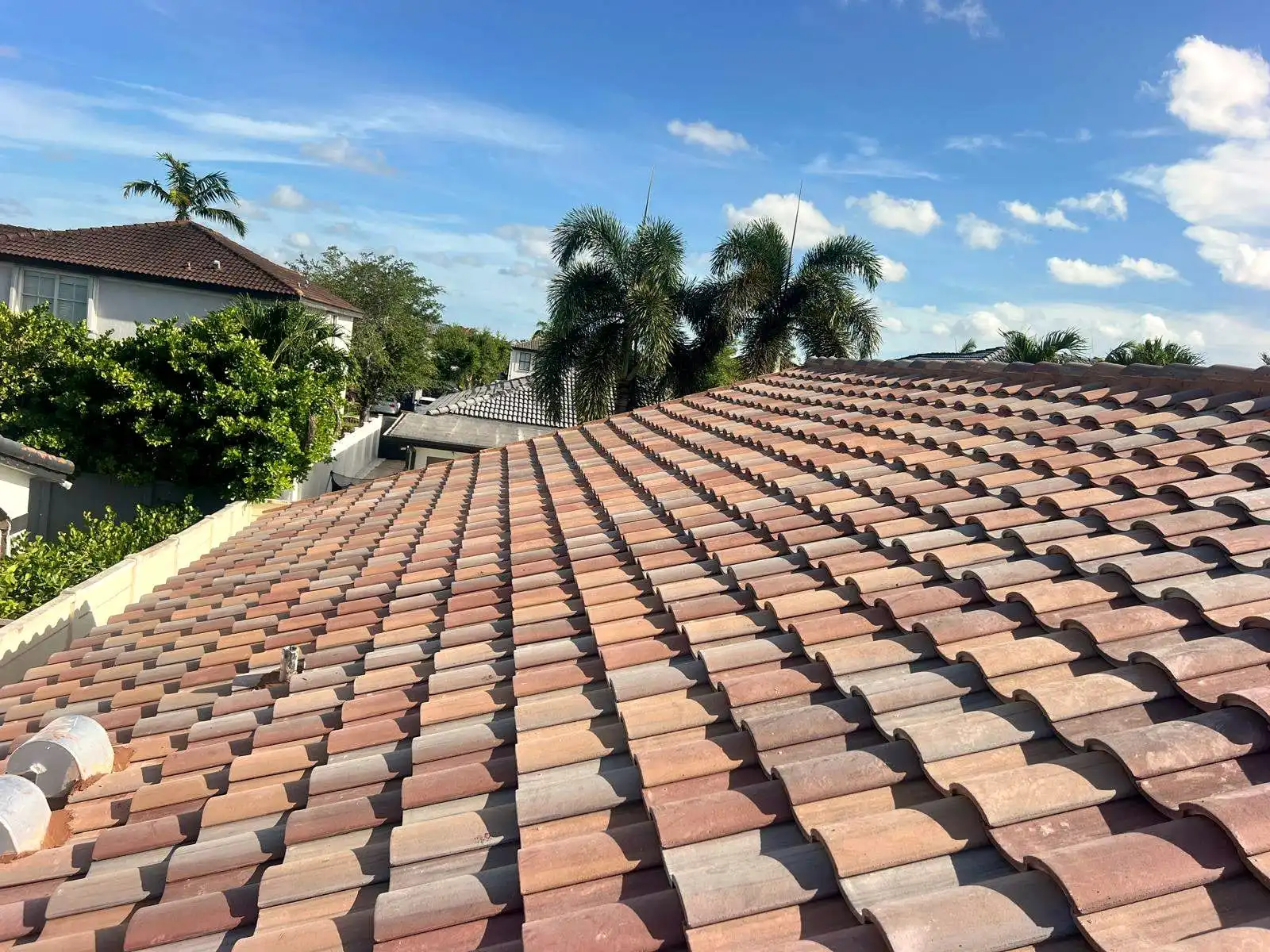 Finished clay tile roof under a blue sky, with palm trees beyond